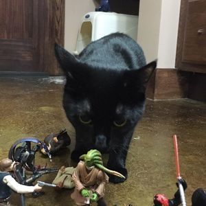 Meet your Posher, Keith